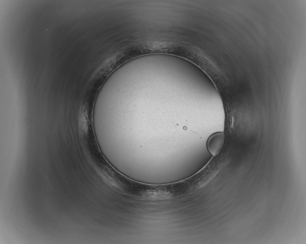 X0000112740644200908271522