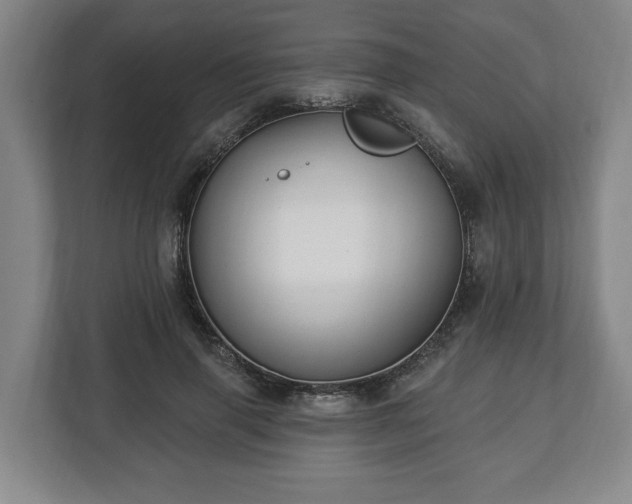 X0000112740645200908271522