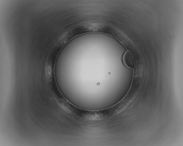 X0000112740646200908271522