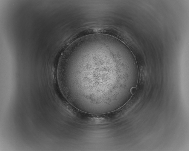 X0000112740650200908271522