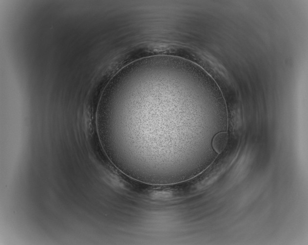 X0000112740653200908271522