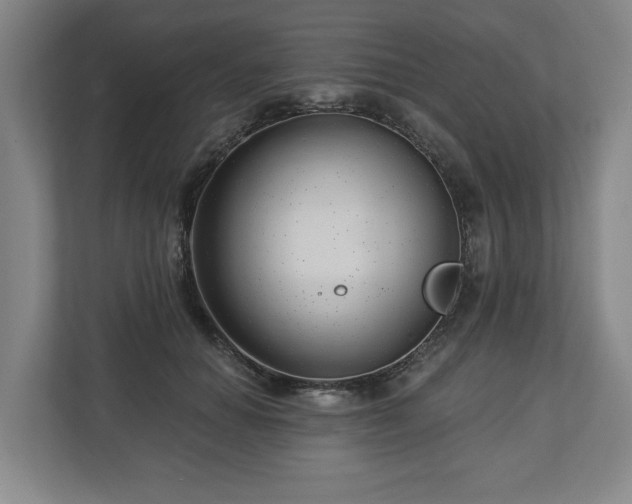 X0000112740654200908271522