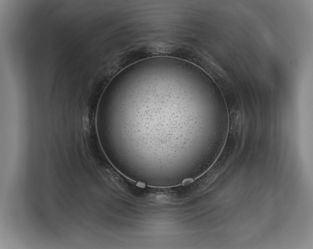 X0000112740655200908271522