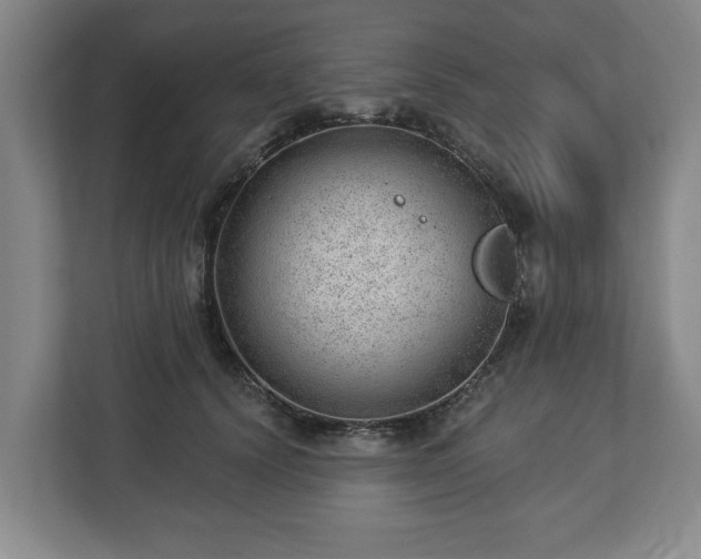 X0000112740656200908271522