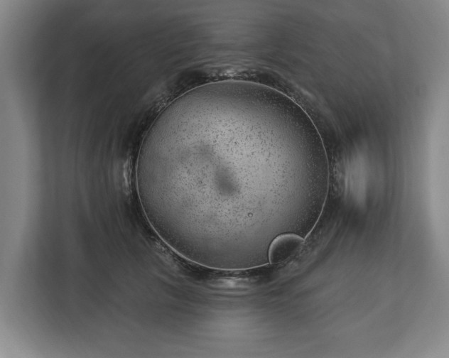 X0000112740657200908271522