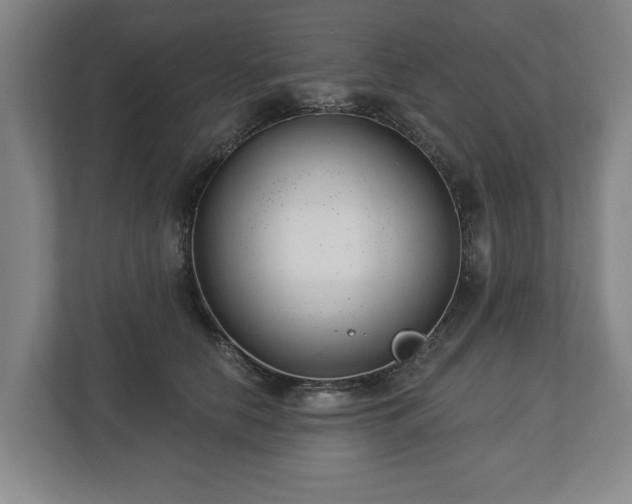 X0000112740658200908271522