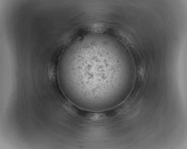 X0000112740663200908271522