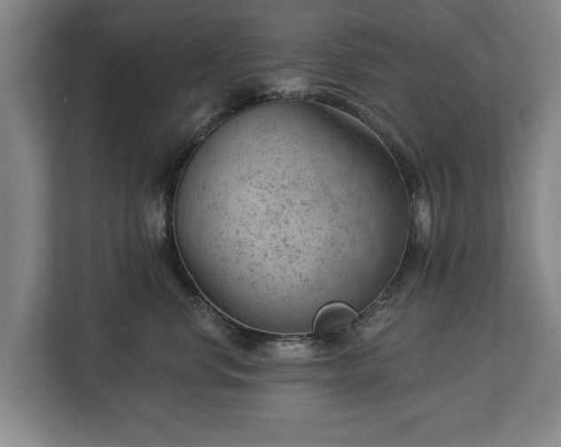 X0000112740668200908271523