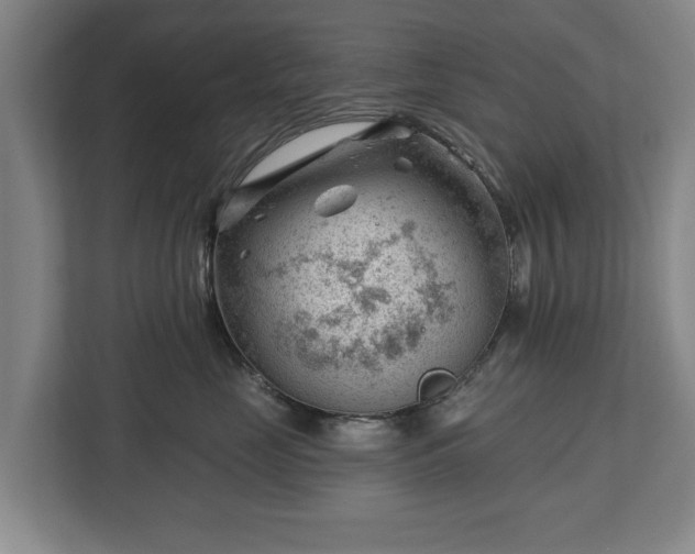 X0000112740669200908271523