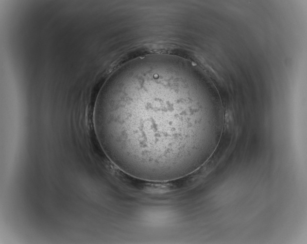 X0000112740671200908271523