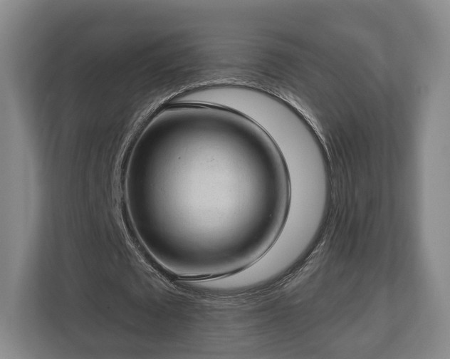 X0000112740673200908271522