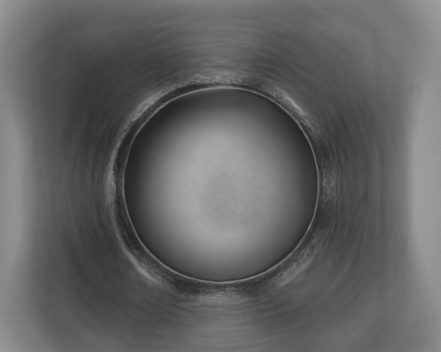 X0000112740674200908271522