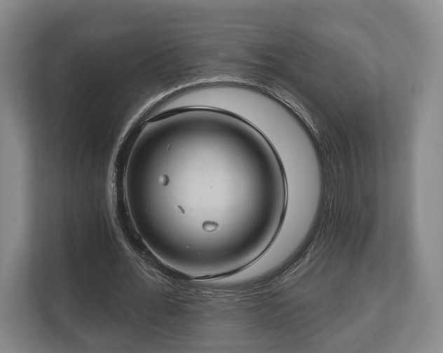 X0000112740676200908271522