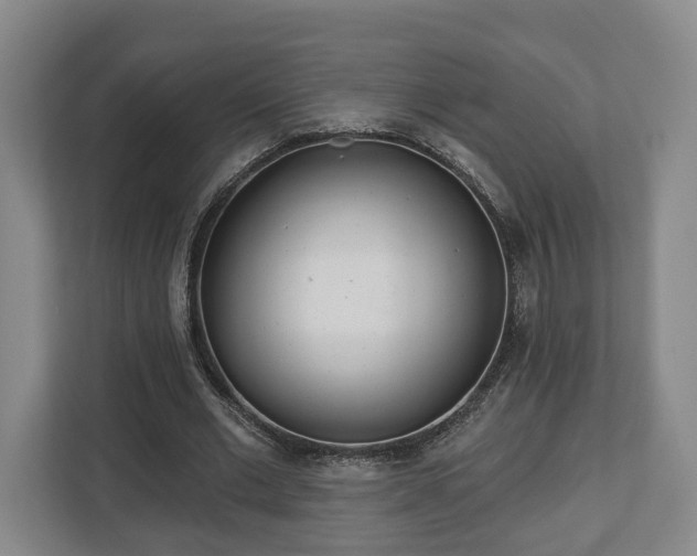 X0000112740677200908271522