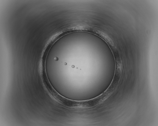 X0000112740678200908271522