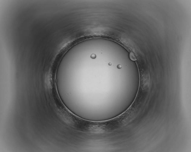 X0000112740680200908271522