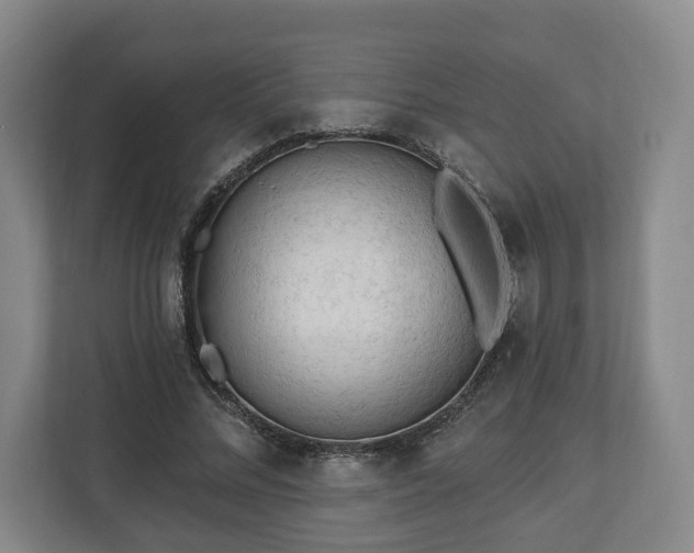 X0000112740684200908271522