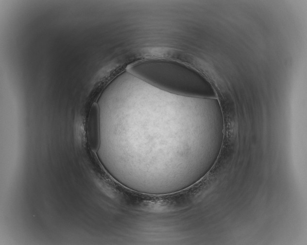 X0000112740688200908271522