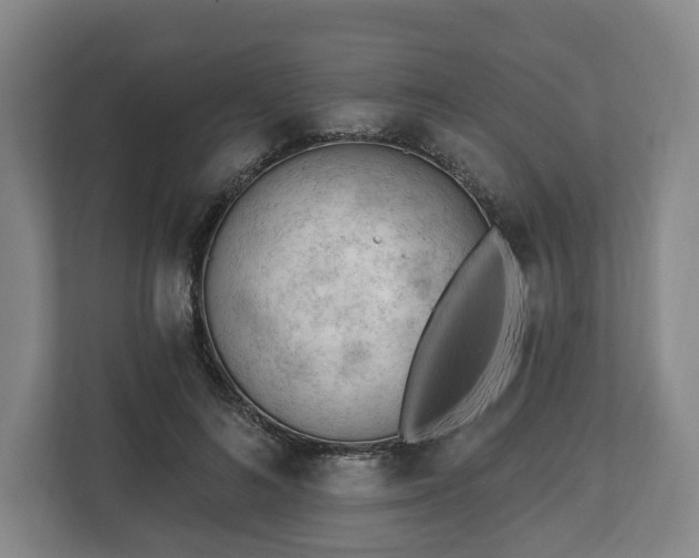 X0000112740692200908271522