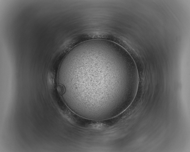 X0000112740695200908271522