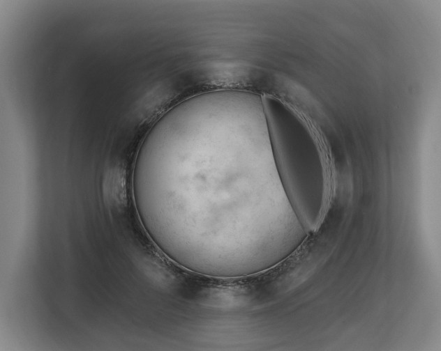 X0000112740696200908271522