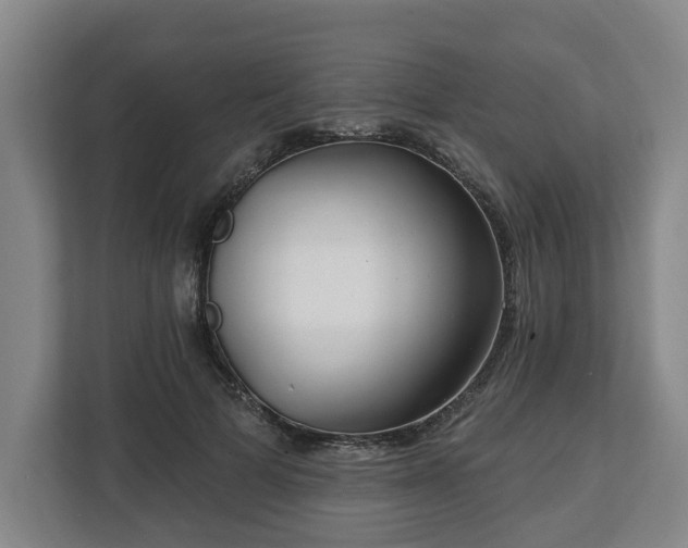 X0000112740697200908271522