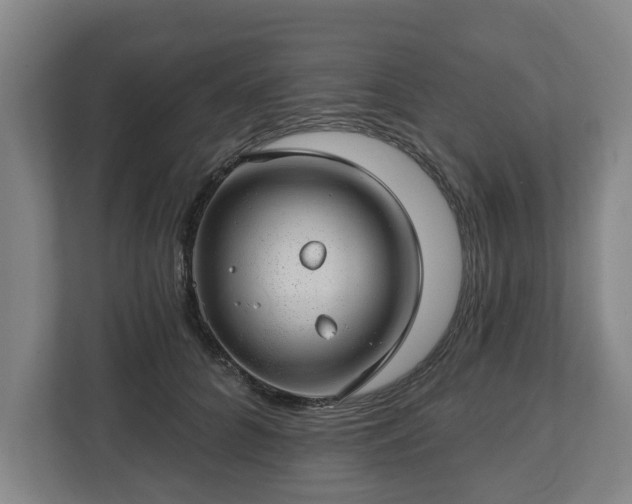 X0000112740704200908271522