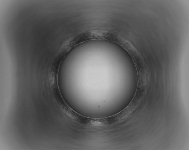 X0000112740706200908271522