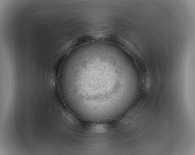 X0000112740710200908271521