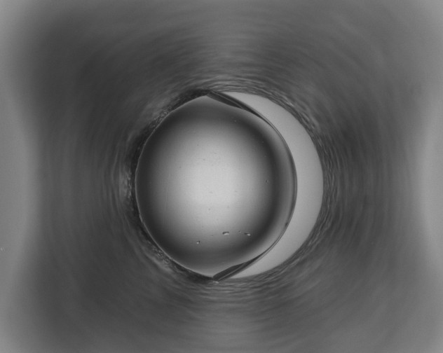 X0000112740713200908271521