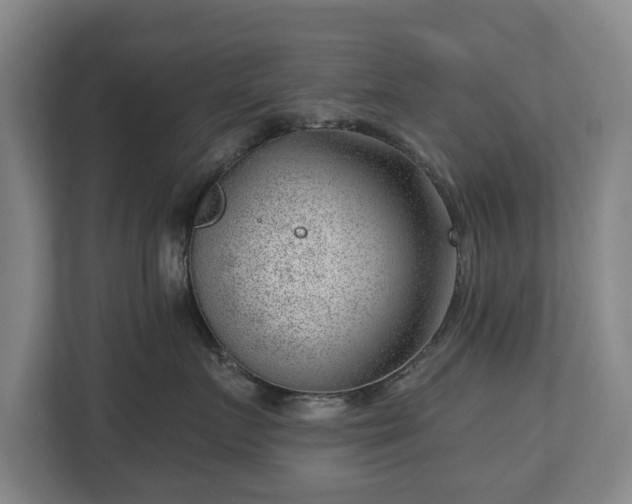 X0000112740719200908271521