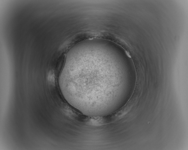 X0000112740720200908271521