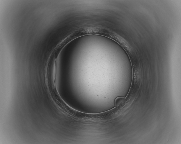 X0000112740722200908271521