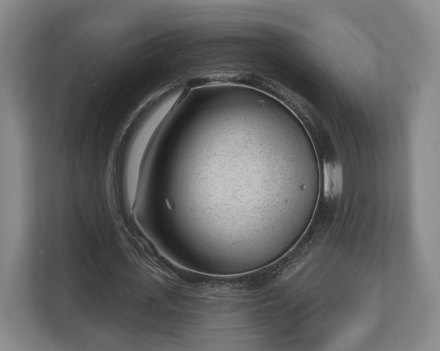 X0000112740723200908271521