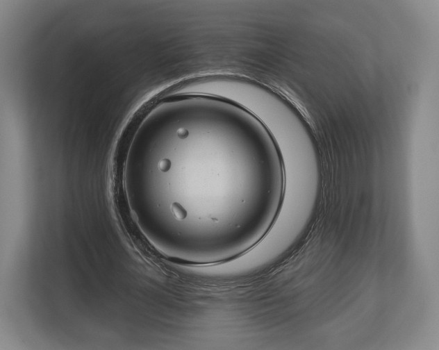 X0000112740724200908271521