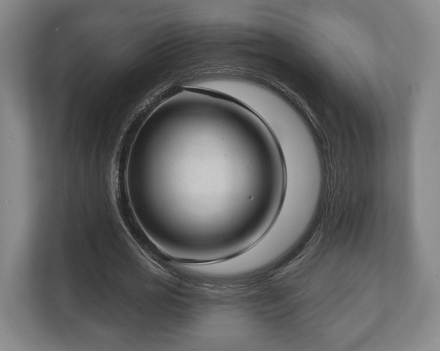 X0000112740725200908271521