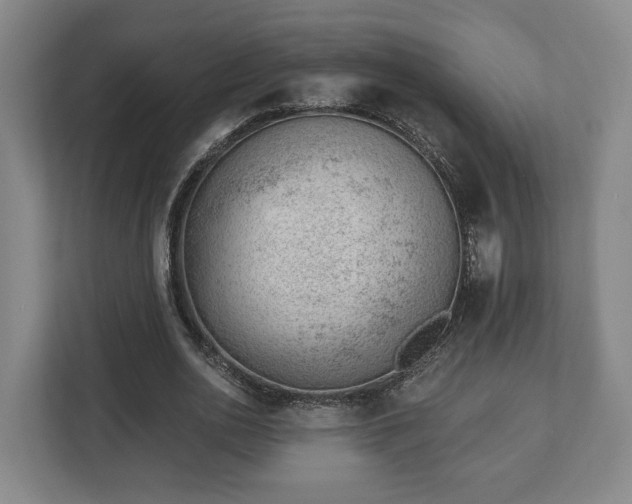 X0000112740726200908271521