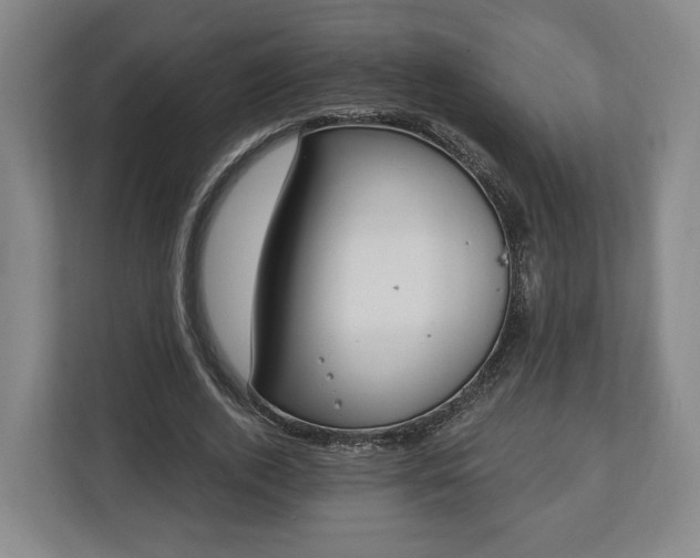 X0000112740728200908271521