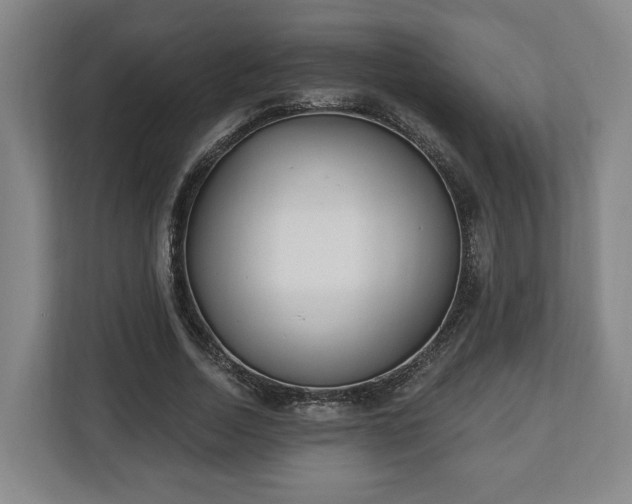 X0000112740730200908271521