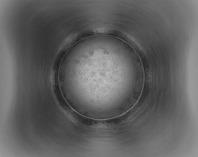 X0000112740738200908271521