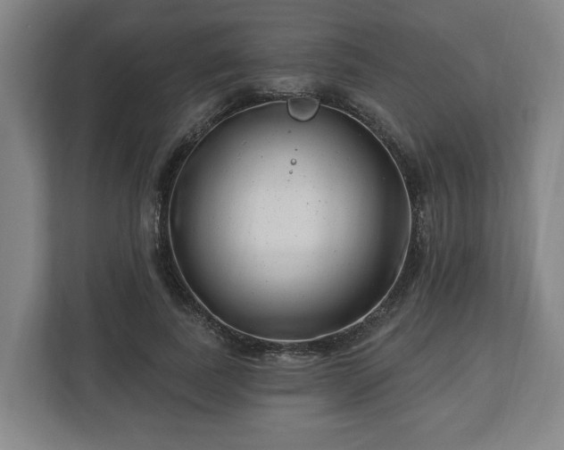 X0000112740739200908271521