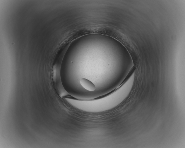 X0000112740750200908271521