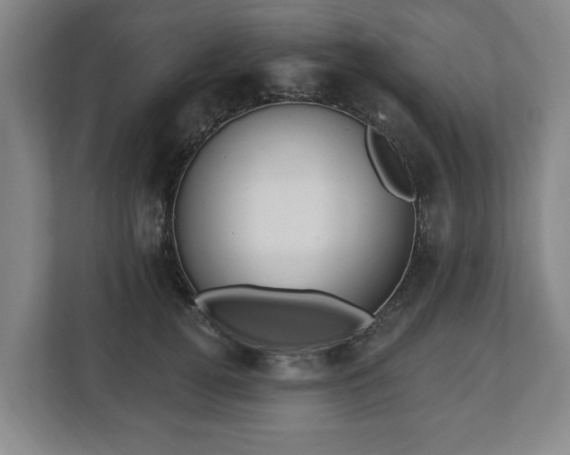 X0000112740752200908271521