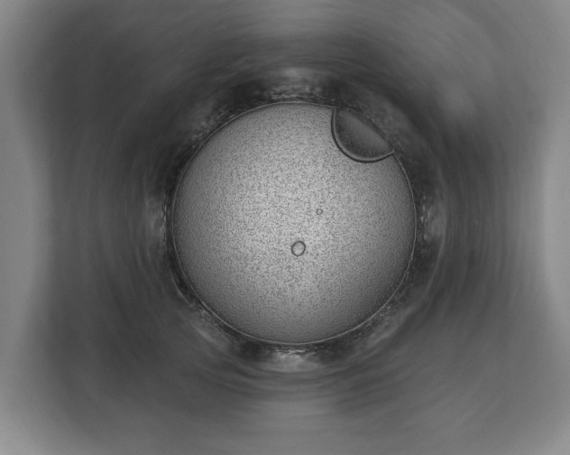 X0000112740753200908271521