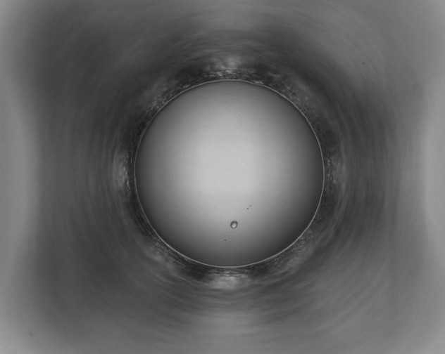 X0000112740754200908271521