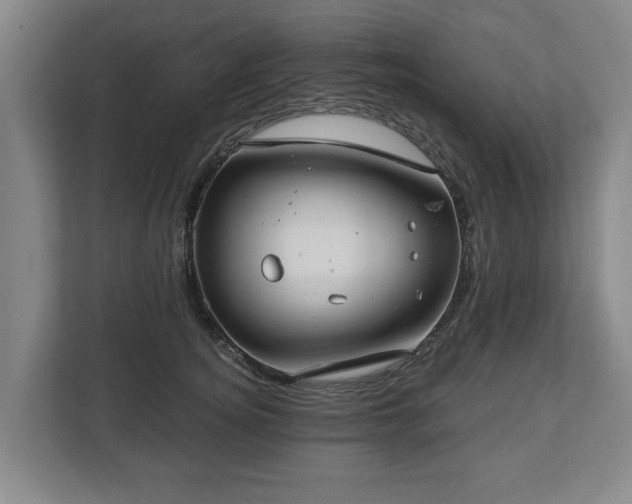 X0000112740756200908271521