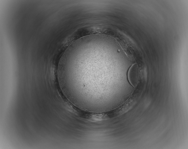 X0000112740757200908271521