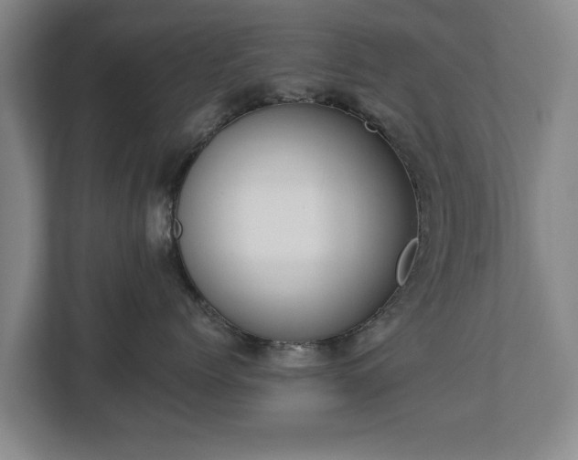 X0000112740768200908271521