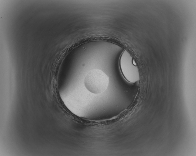 X0000112740769200908271521