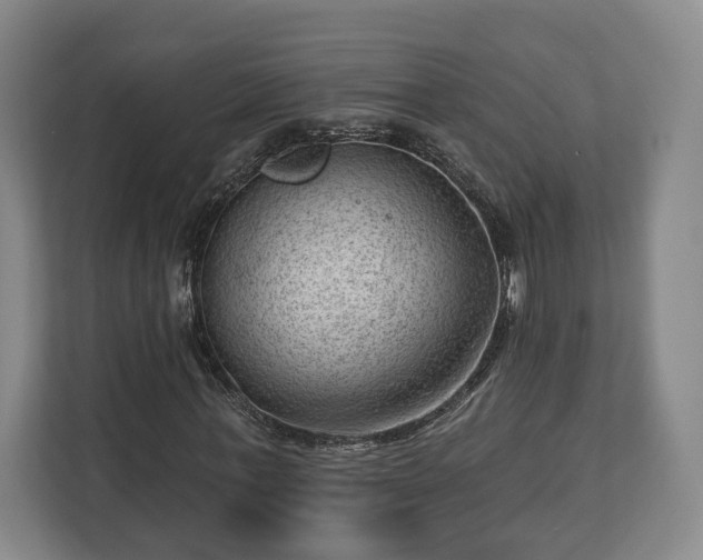 X0000112740771200908271521